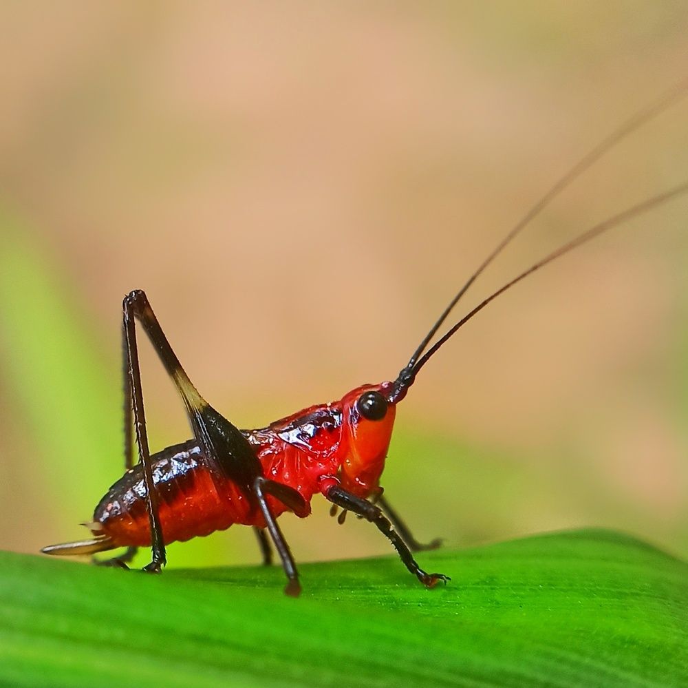Photograph by Ciraj Abraham