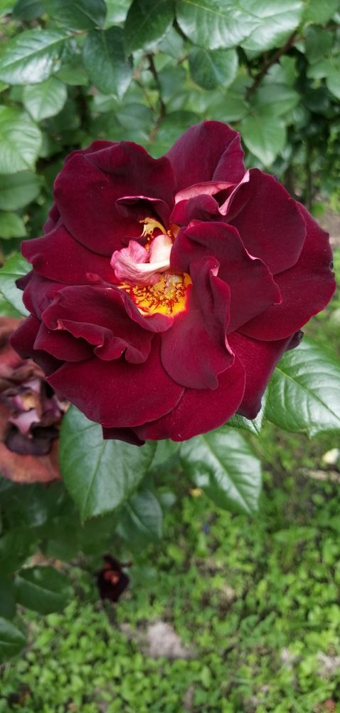 Photograph by Мила Мит