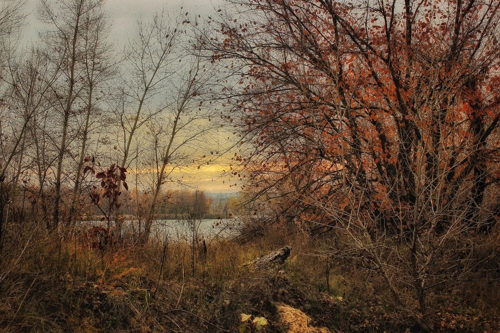 Photograph by Sergey Velichko