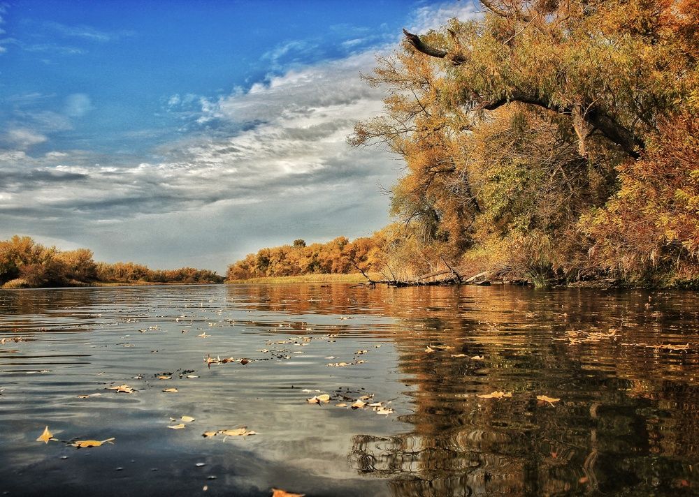 Photograph by Sergey Velichko