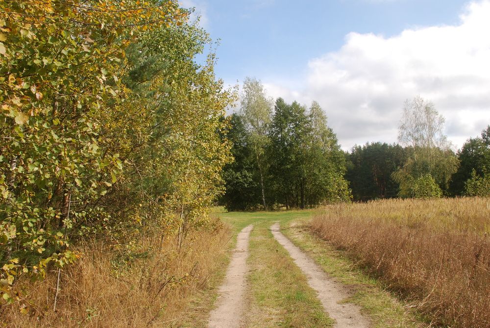 Photograph by Лавренева Алла