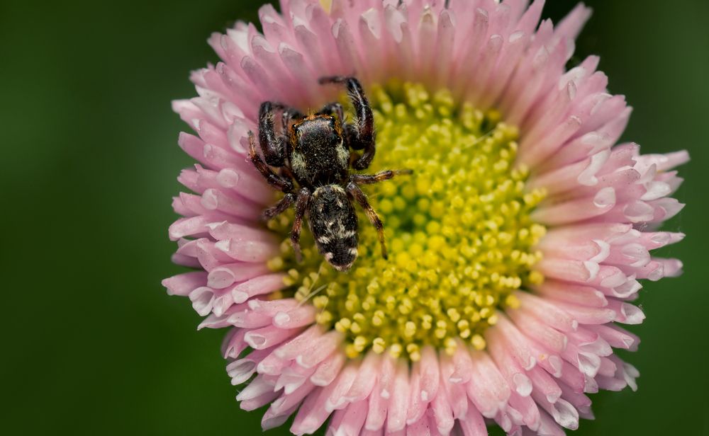 Photograph by Тараненко Анжелика