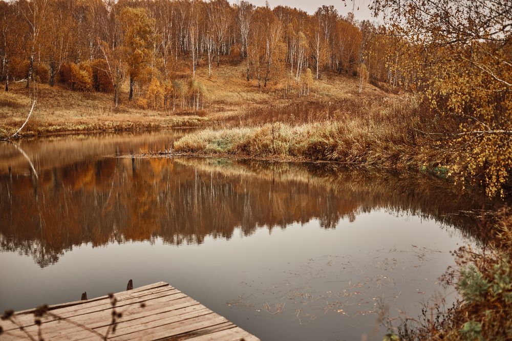 Photograph by Анна Тарутина