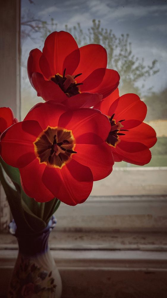 Фотография автора Анастасия Мамаева