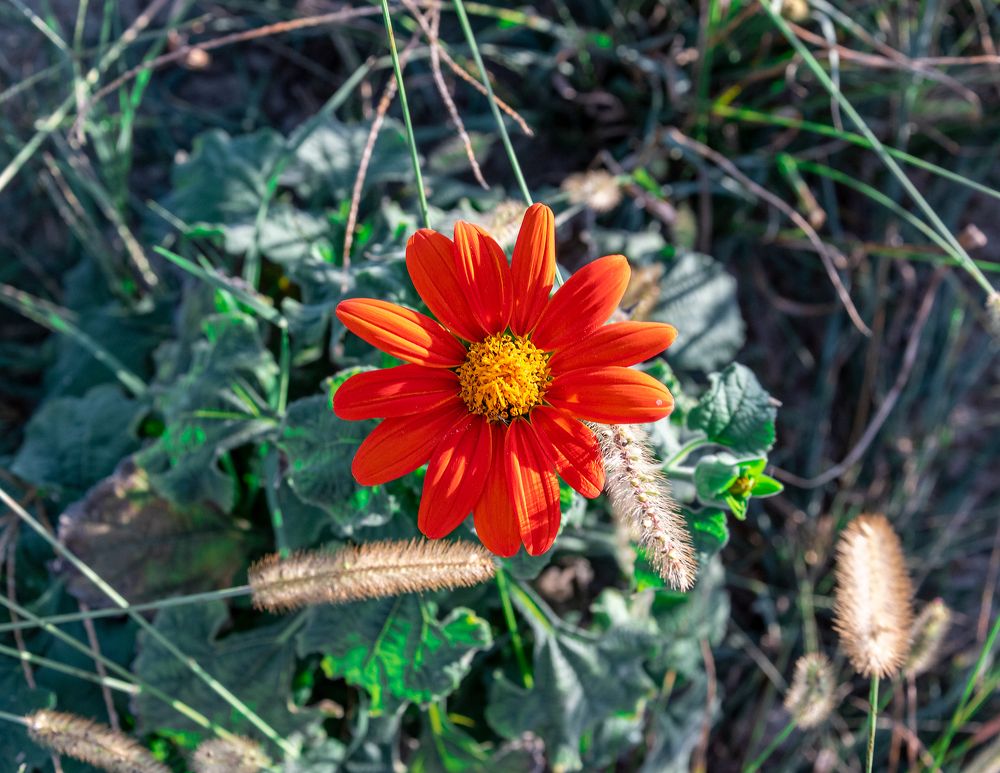 Photograph by Martina Bortoluzzi