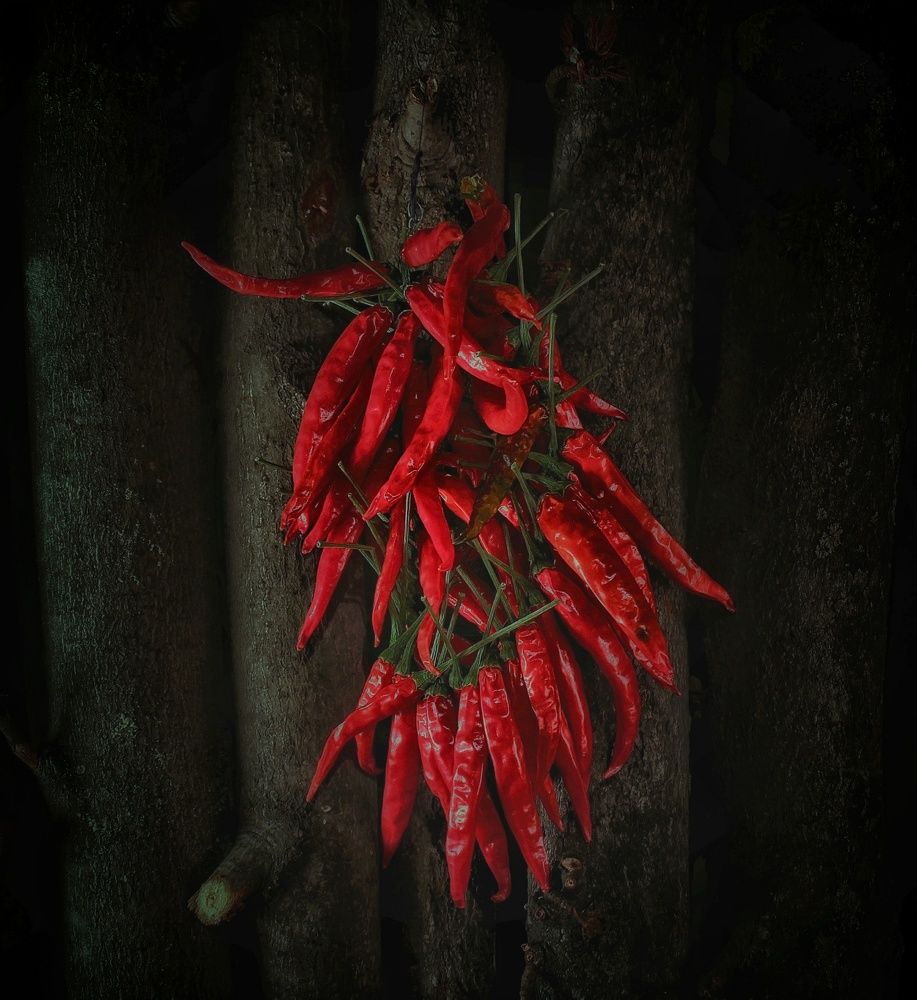 Photograph by Sergey Velichko