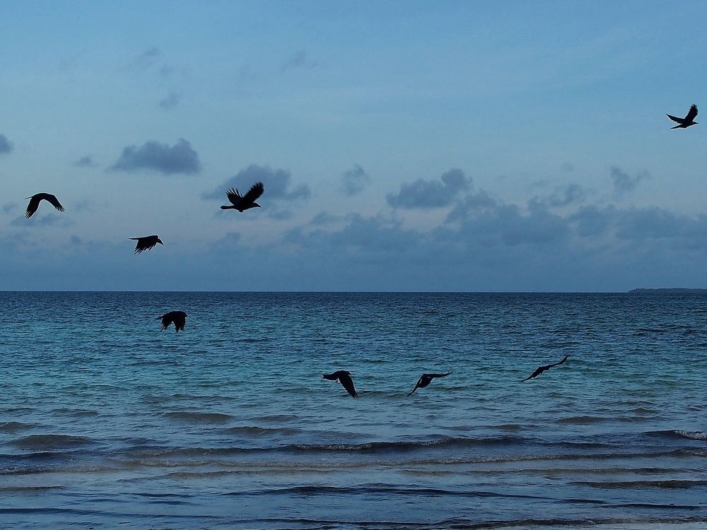 Photograph by Елена Харитонова