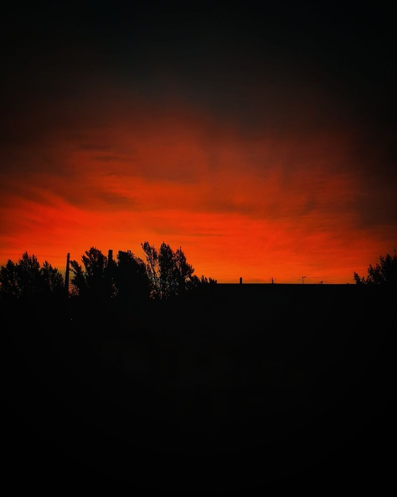 Photograph by Ольга Серова