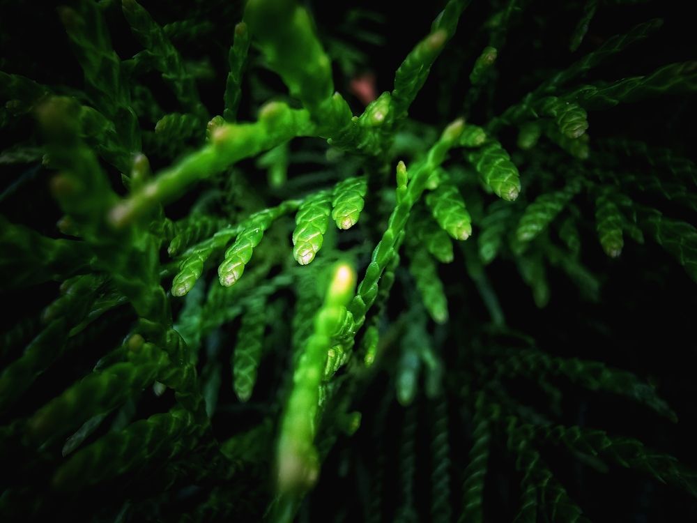 Photograph by Мария Колоскова