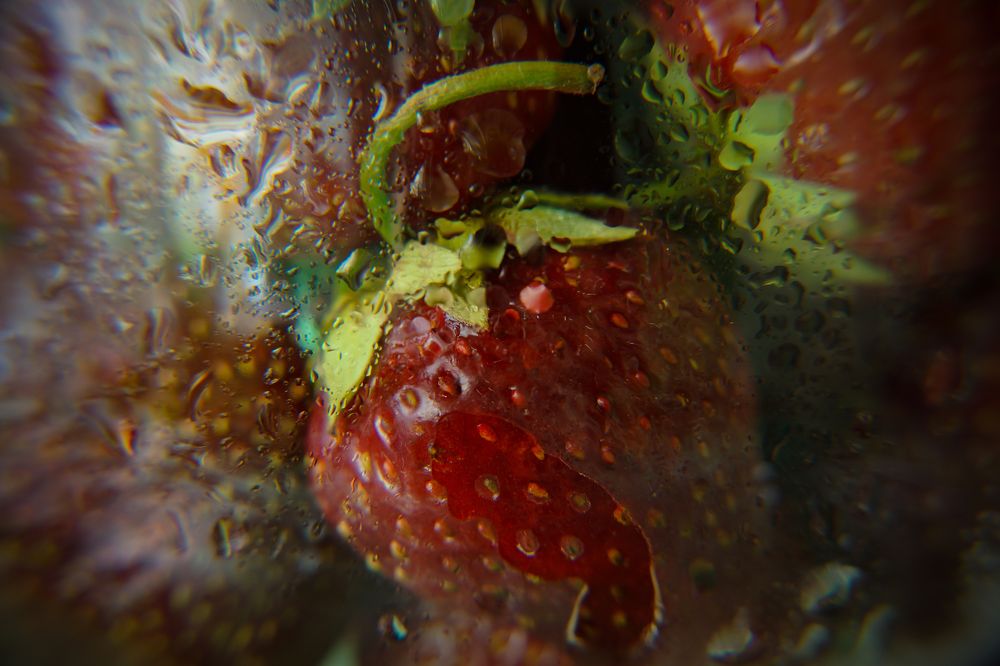 Photograph by Мария Колоскова