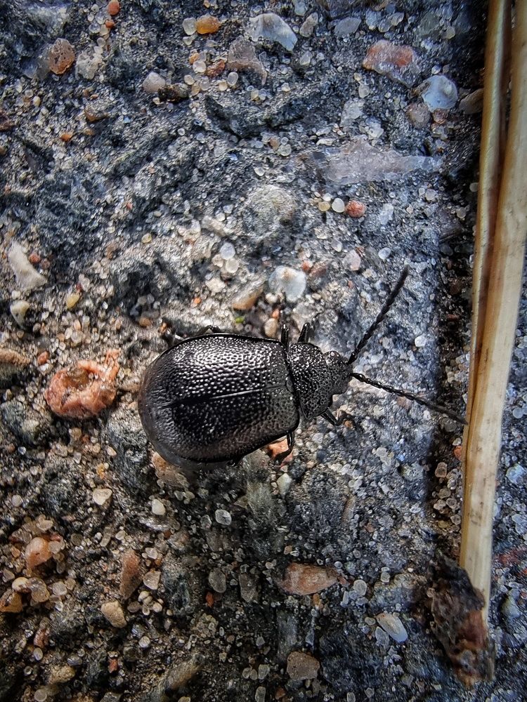 Фотография автора Дана Богинская