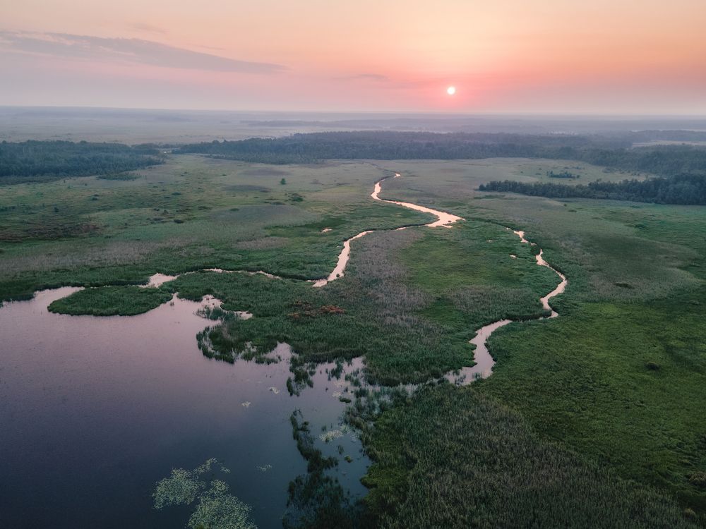 Photograph by Елизавета Белоусова