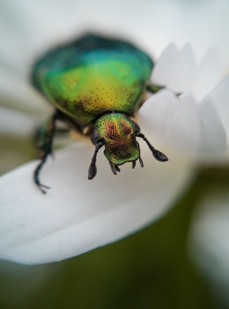 Photograph by Алексей Крукович