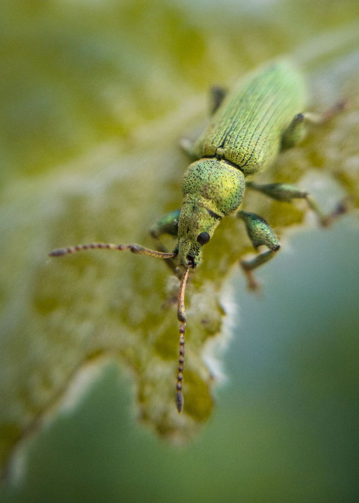 Photograph by Алексей Крукович