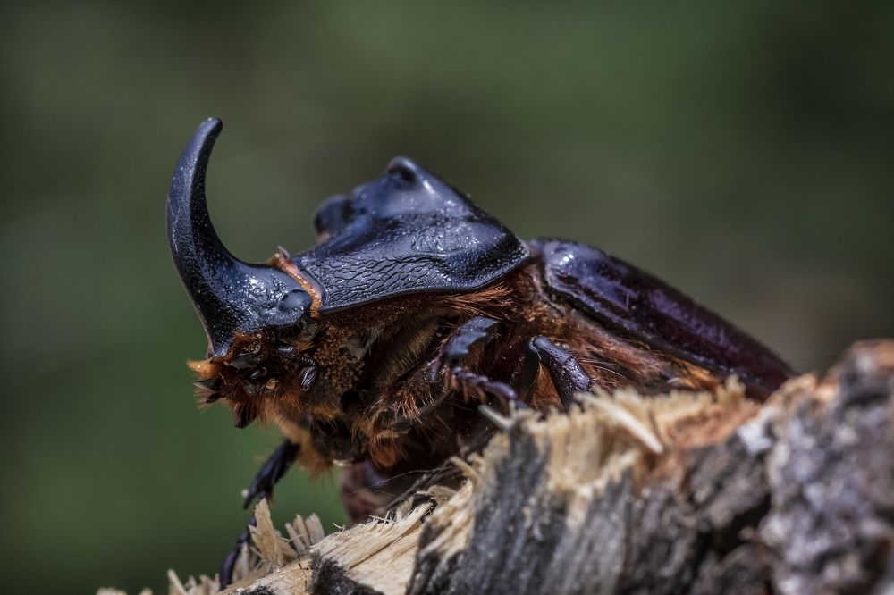 Photograph by Андрей Калинин