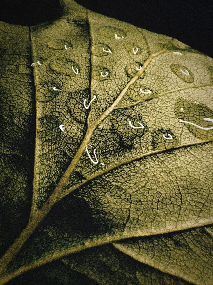 Photograph by Елена Дегтяренко