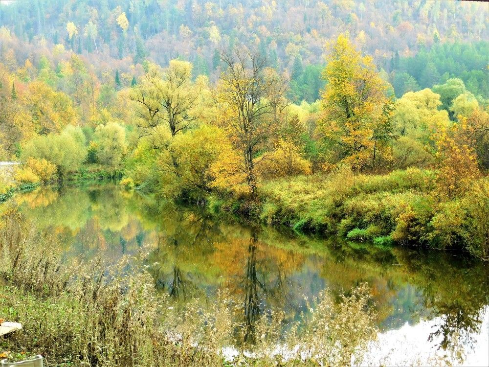 Photograph by Чкареули Светлана