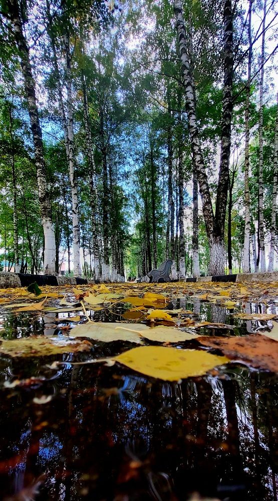 Фотография автора Виталий Петров