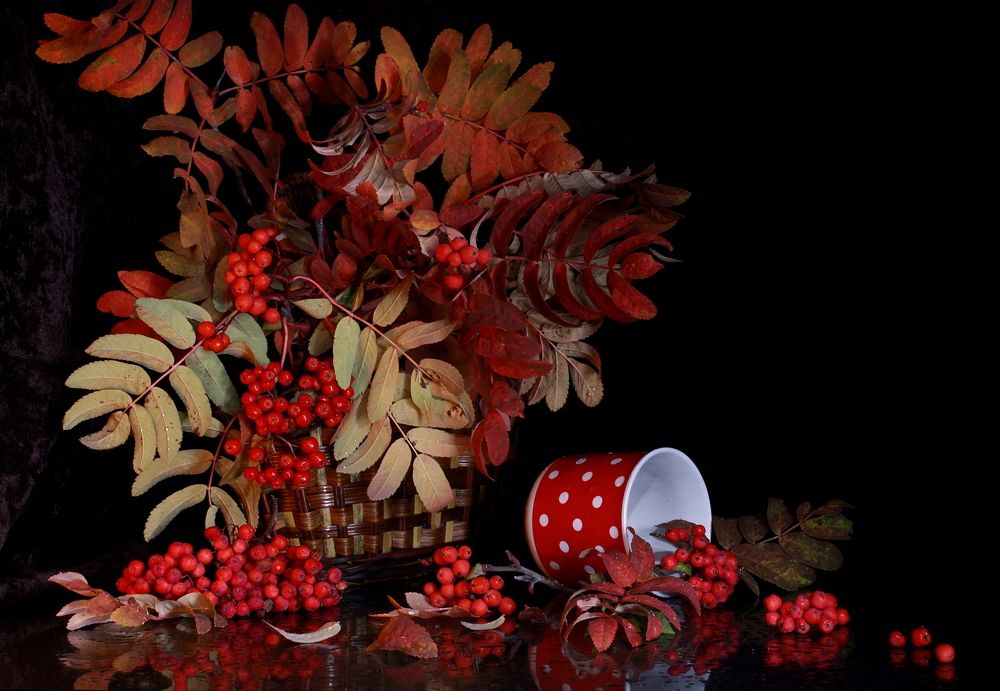 Фотография автора Nelya  Lysenko