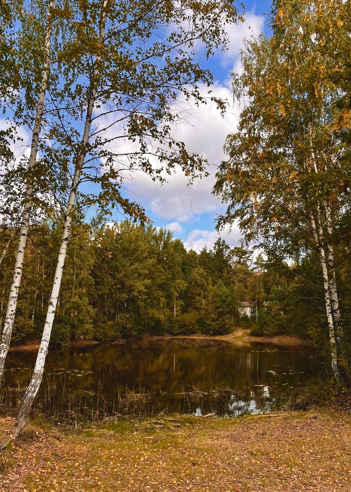 Фотография автора Ирина Мосько