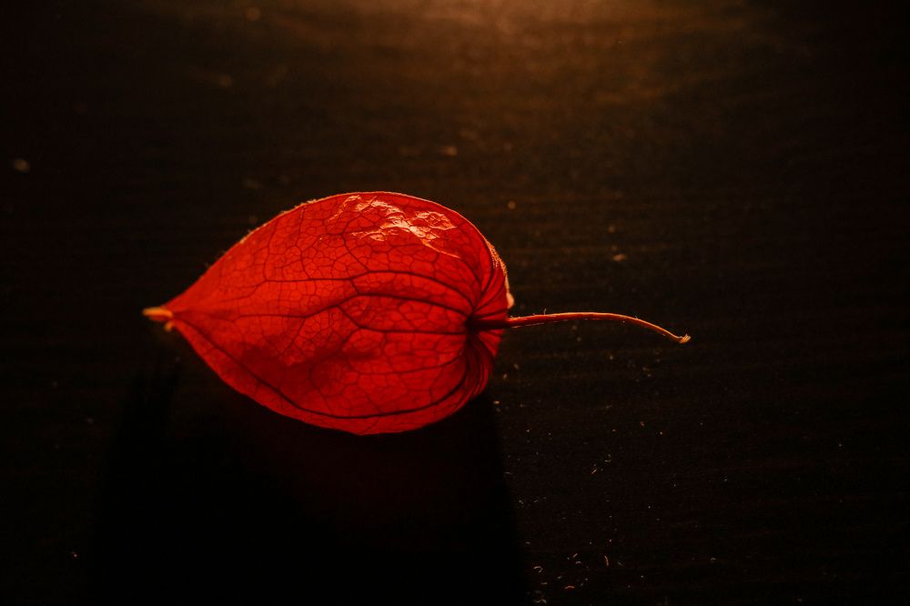 Photograph by Татьяна Стружкина