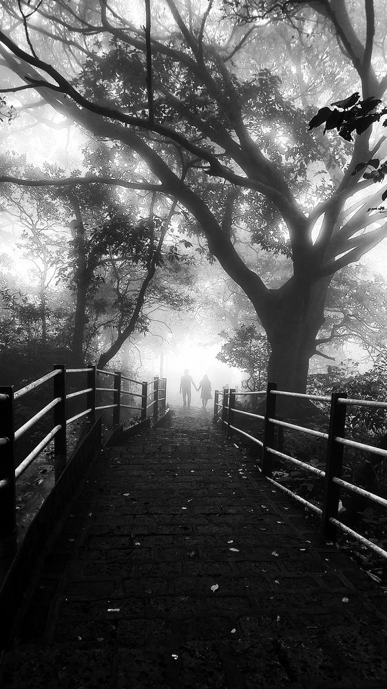 Photograph by Shubham Singh