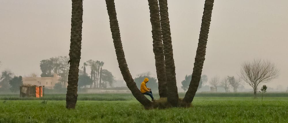 Фотография автора Adel elqamhawi Mohamed