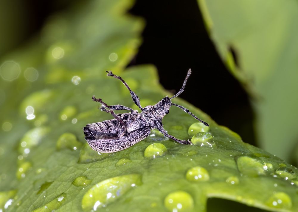 Photograph by Андрей Калинин