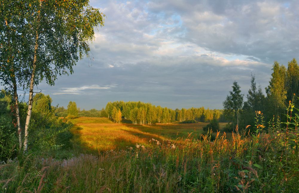 Photograph by doom44