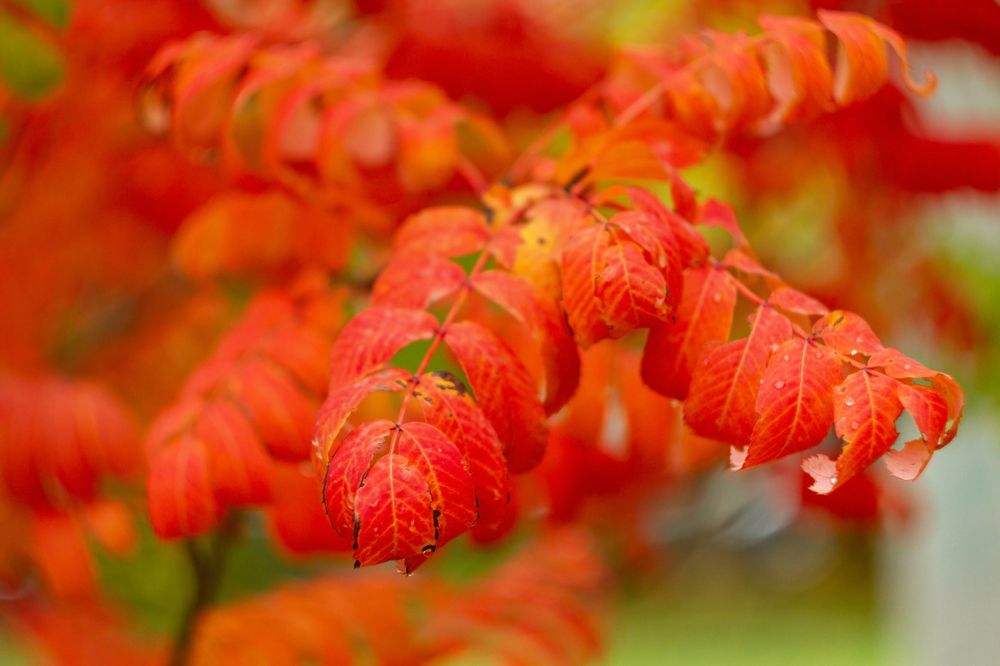 Photograph by Алексей