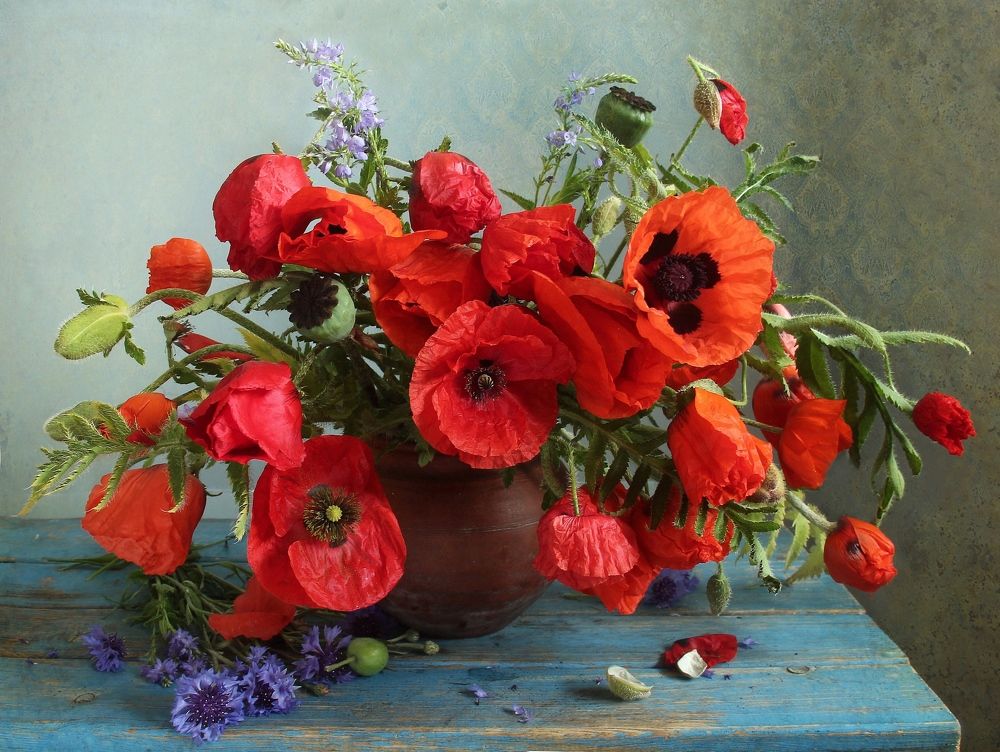 Photograph by Марина Филатова