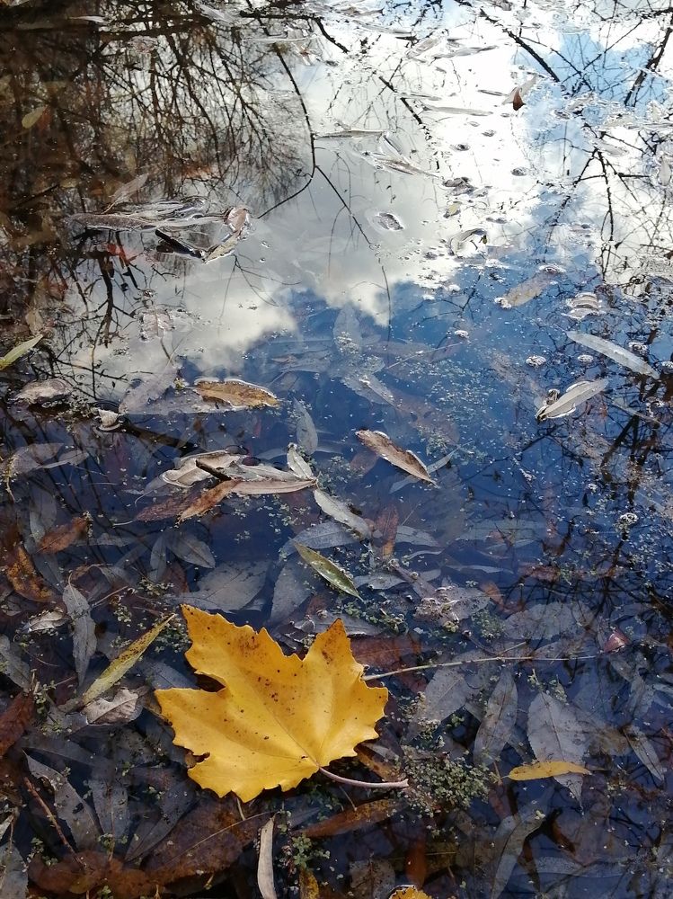 Photograph by Наталья Дубовкина