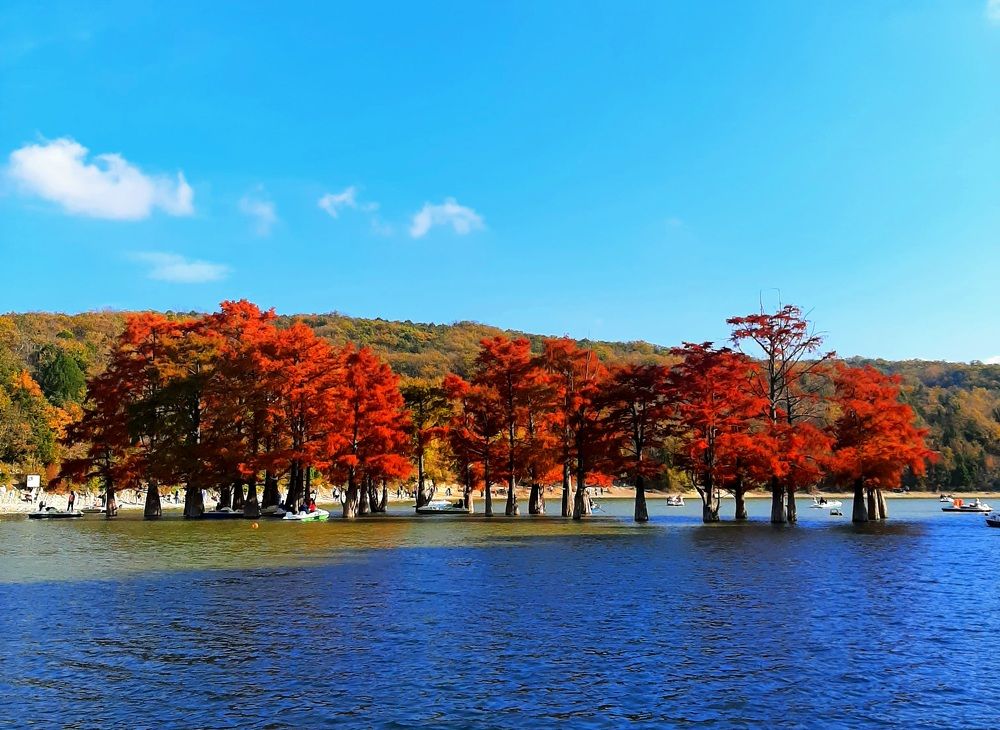 Photograph by Natalya Vasilenko