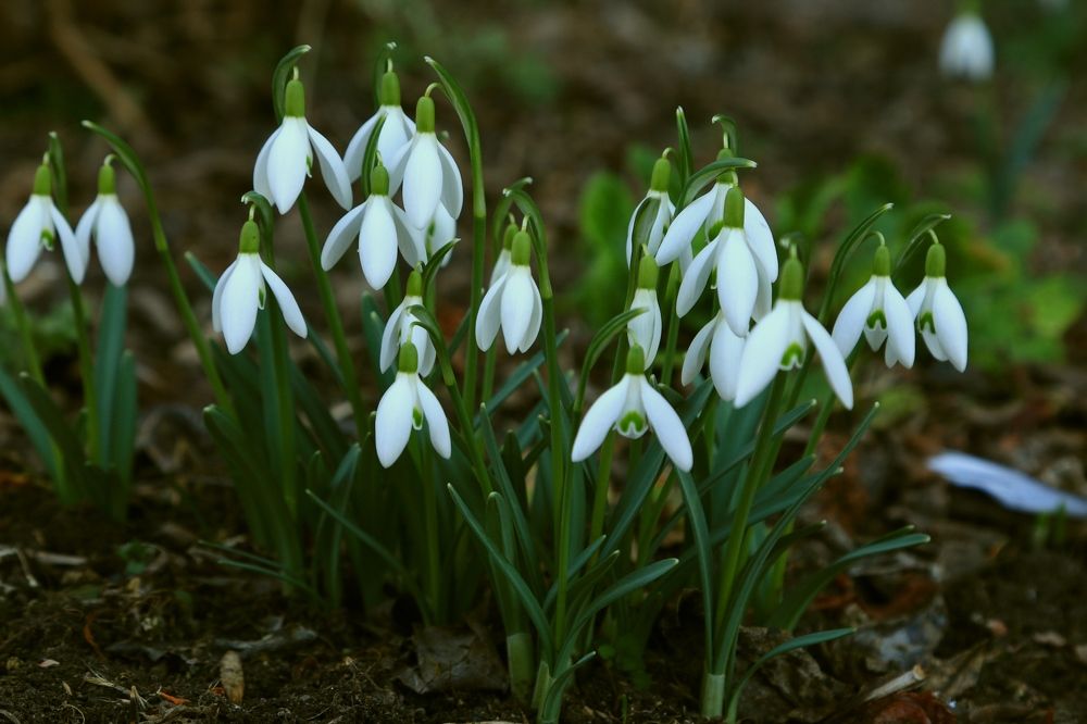 Photograph by Игорь Куленко