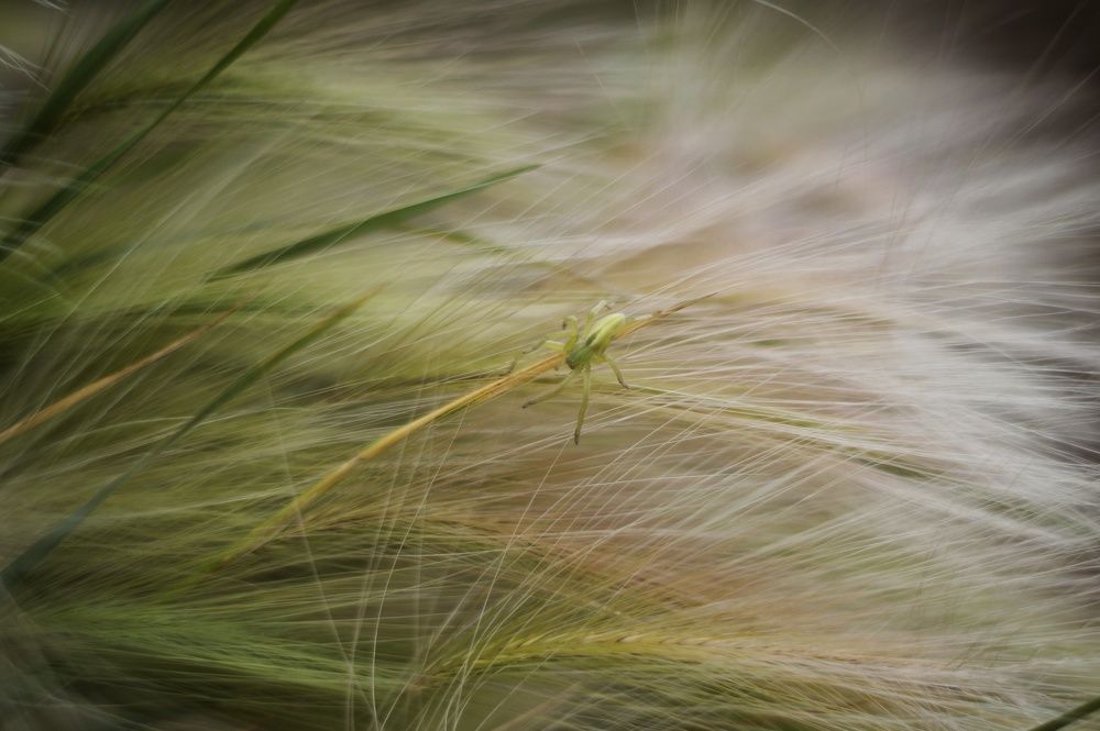 Photograph by Анастасия Позинич