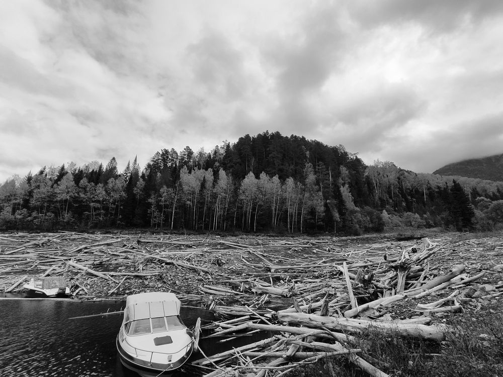 Photograph by Дмитрий Киреев