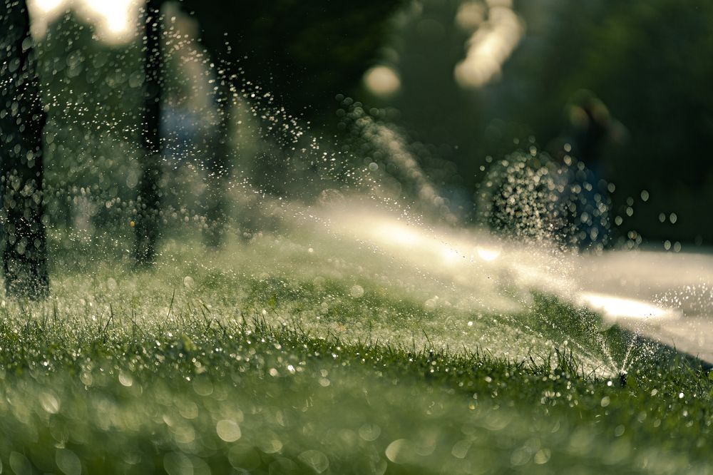 Photograph by Иван Новиков