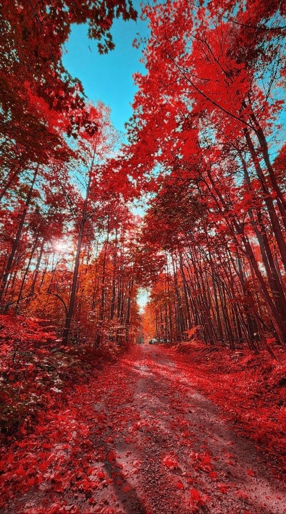 Photograph by Konstantin Martynov