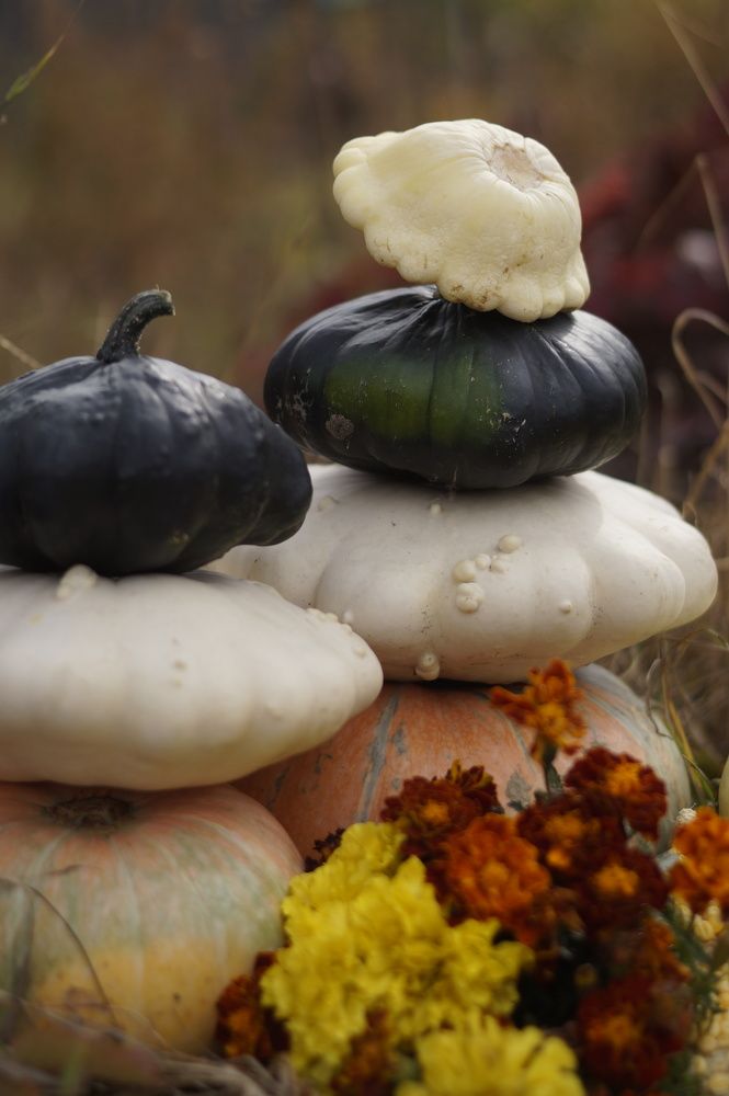 Photograph by Анастасия Позинич