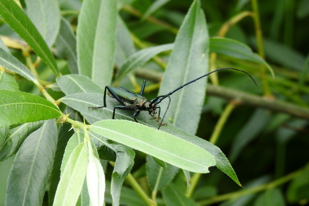 Photograph by Татьяна Калугина