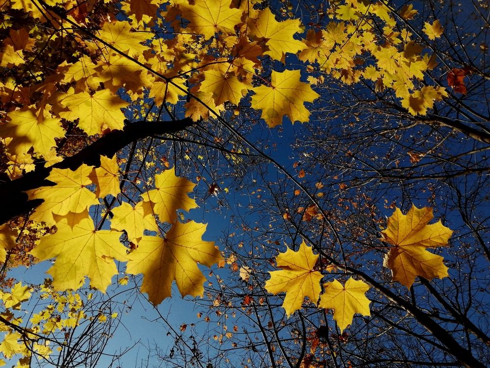 Photograph by Наталья Дубовкина