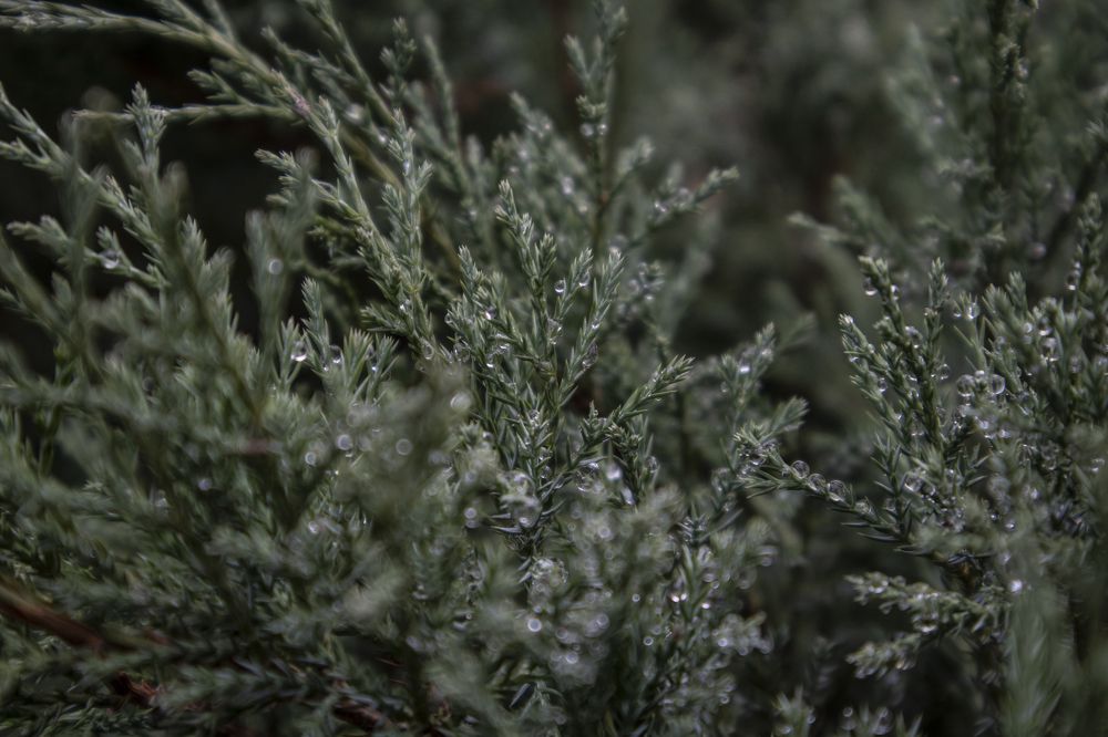 Photograph by Mihaela Chitoroagă