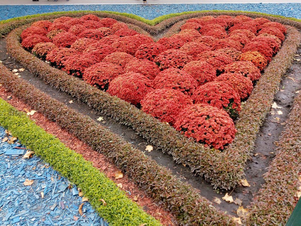 Photograph by Татьяна Пальчикова