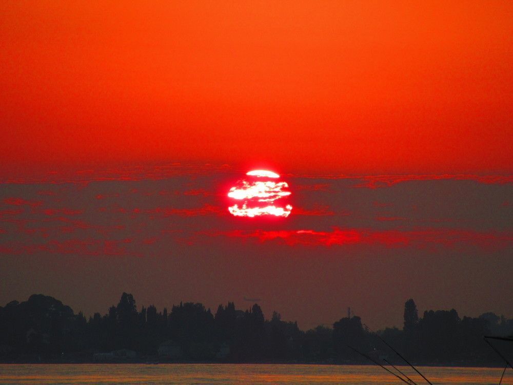 Photograph by Ольга Рогозина