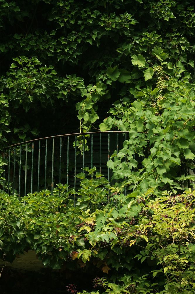 Photograph by Диана Ульянцева