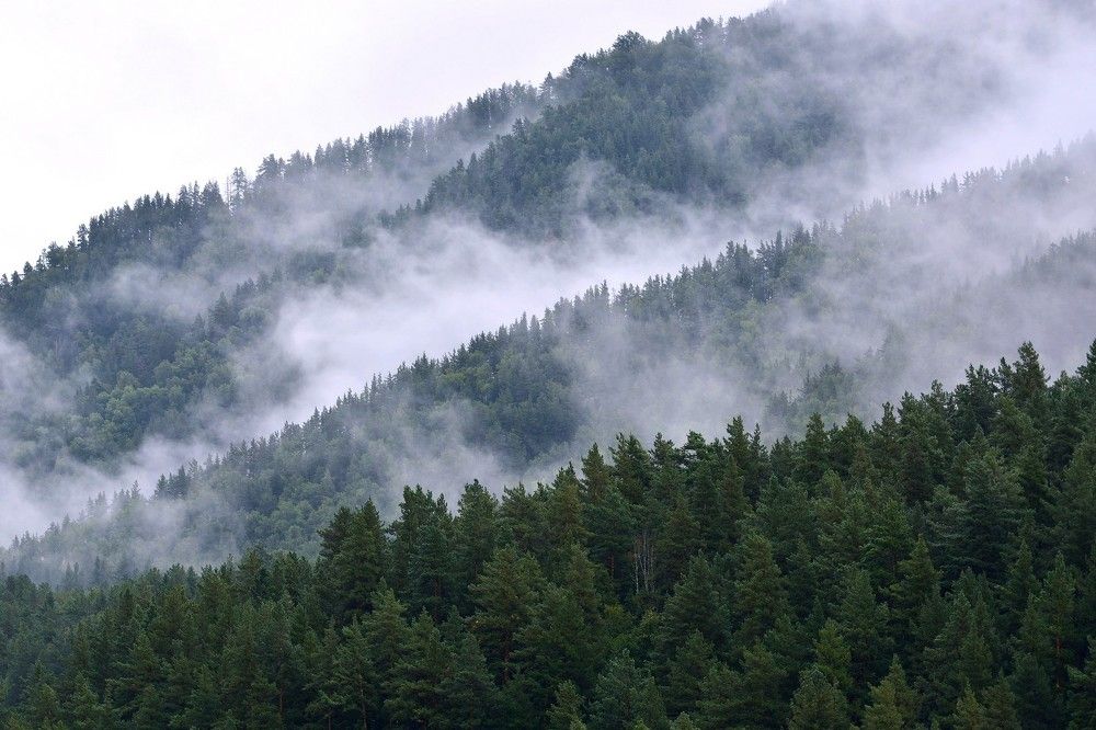 Фотография автора Рафаиль Садыков