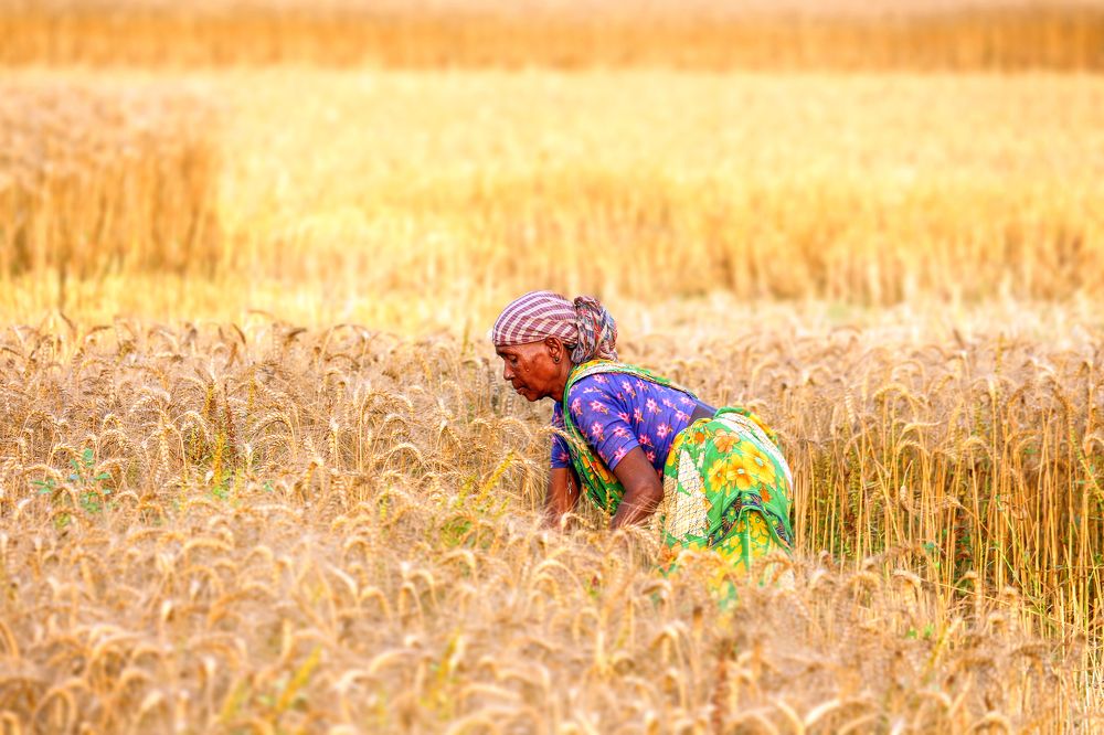 Photograph by Shahariar Alam