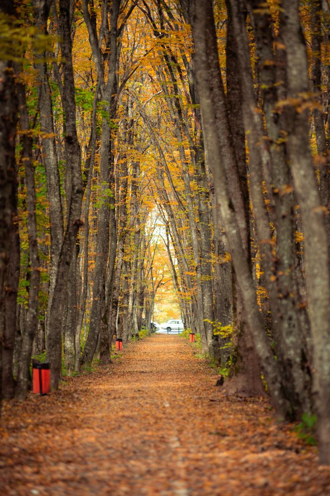 Photograph by Иван Новиков