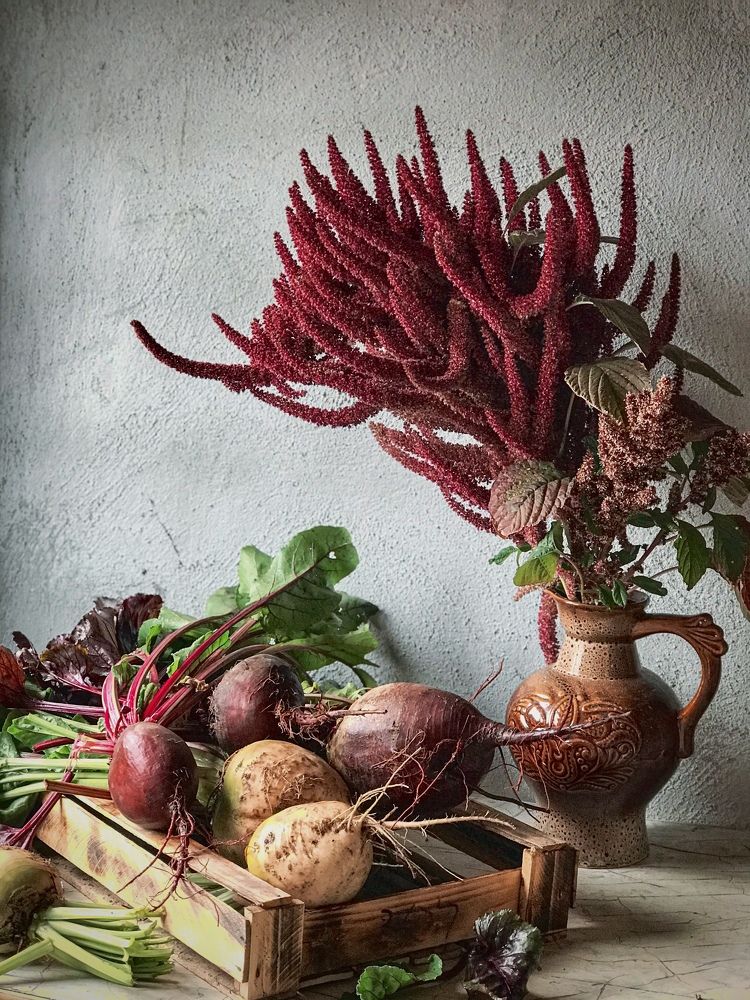 Photograph by Наталья Перерва