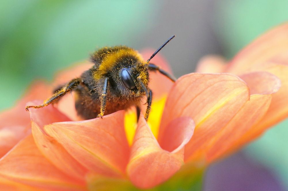 Photograph by Игорь Осипов